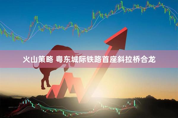 火山策略 粤东城际铁路首座斜拉桥合龙
