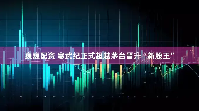 巍巍配资 寒武纪正式超越茅台晋升“新股王”