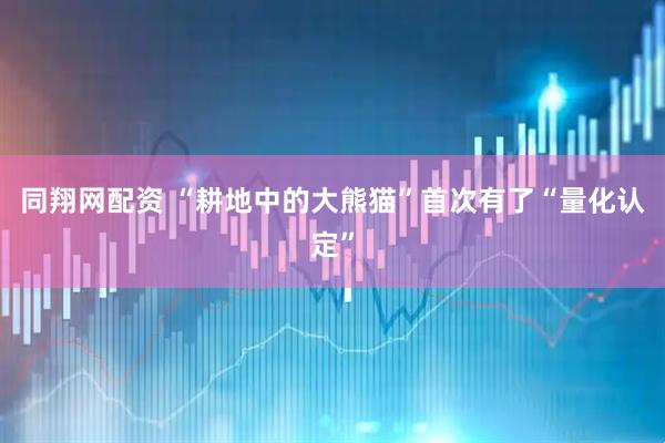 同翔网配资 “耕地中的大熊猫”首次有了“量化认定”