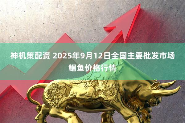 神机策配资 2025年9月12日全国主要批发市场鮰鱼价格行情