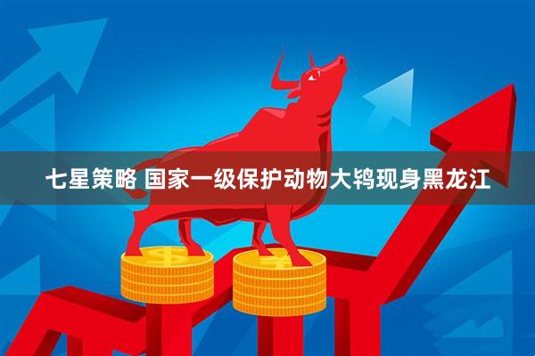 七星策略 国家一级保护动物大鸨现身黑龙江