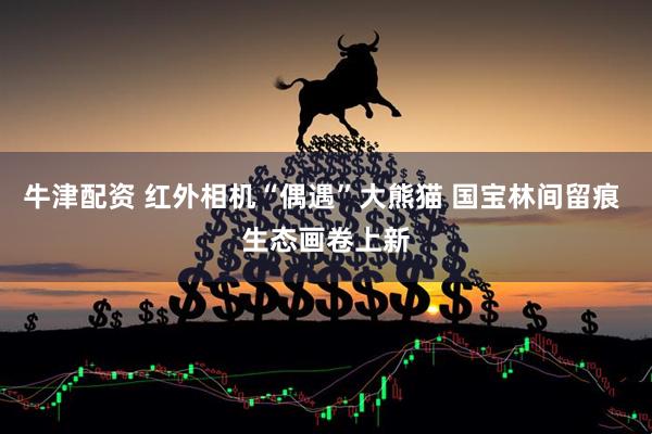 牛津配资 红外相机“偶遇”大熊猫 国宝林间留痕 生态画卷上新